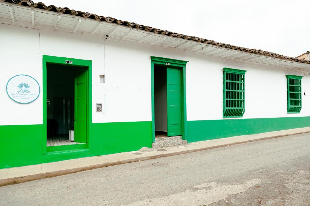 Luzart Jardin